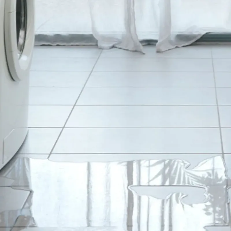Appliance Leak Cleanup in McGregor, TX