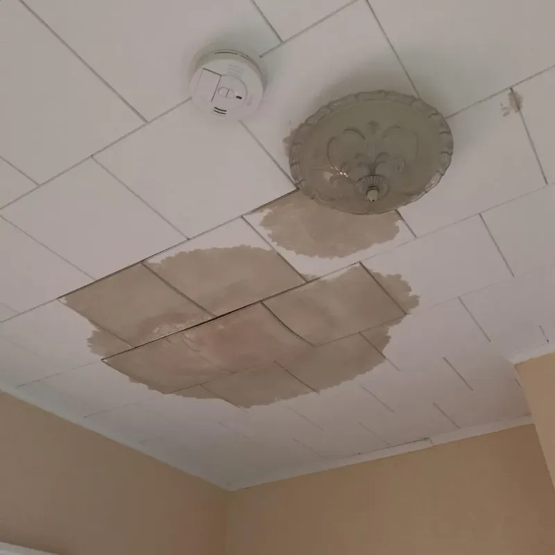 Ceiling Water Damage Repair in McGregor, TX