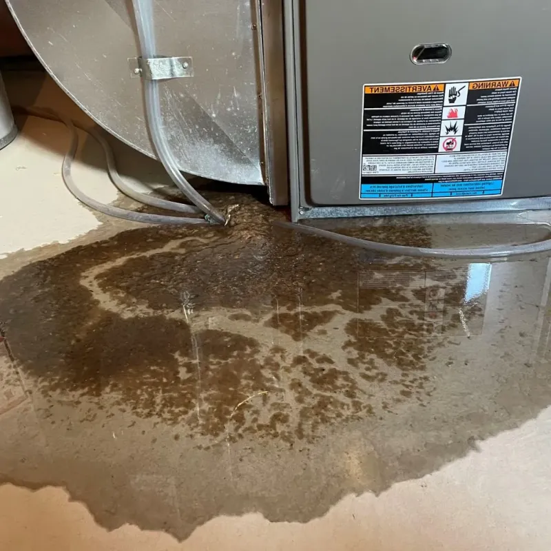 Pipe Burst and Leak Restoration in McGregor, TX