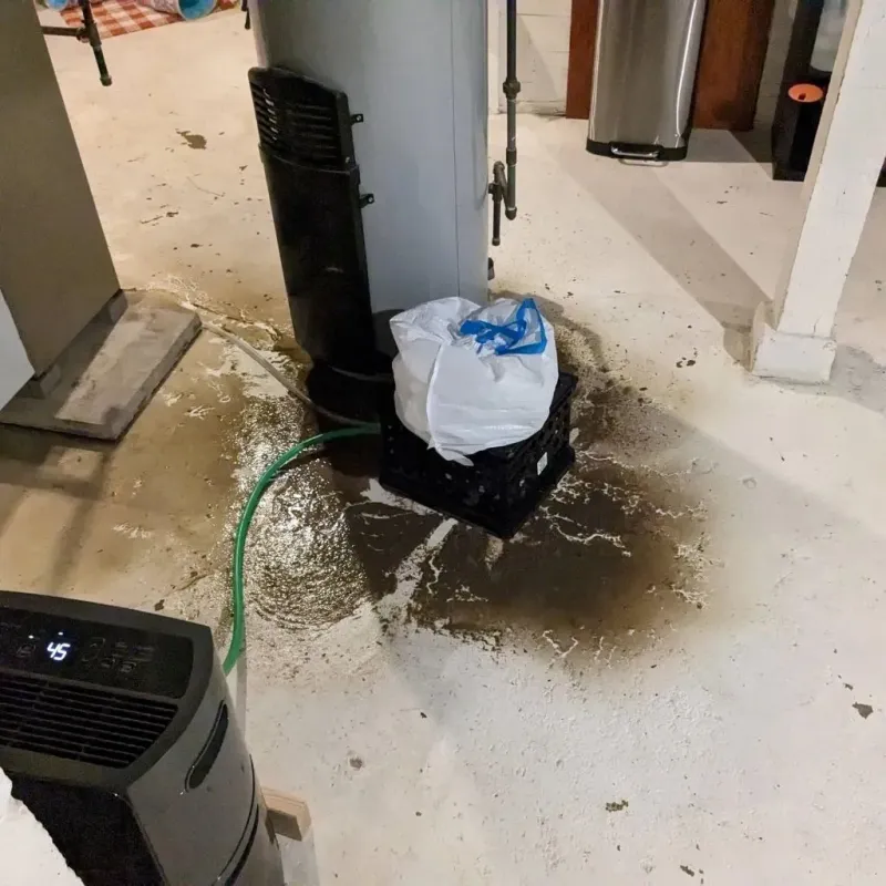 Sewage Backup Cleanup Service in McGregor, TX